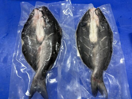 Channel Catfish flower cut - Frozen Export from China