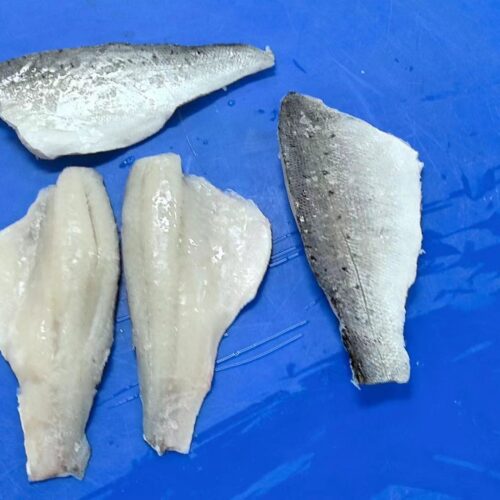 Frozen Asian Seabass Fillet - Lateolabrax japonicus- IQF - Zhuhai Chenghuifeng Agricultural Science & Technology Co., Ltd.