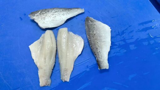 Frozen Asian Seabass Fillet - Lateolabrax japonicus- IQF - Zhuhai Chenghuifeng Agricultural Science & Technology Co., Ltd.