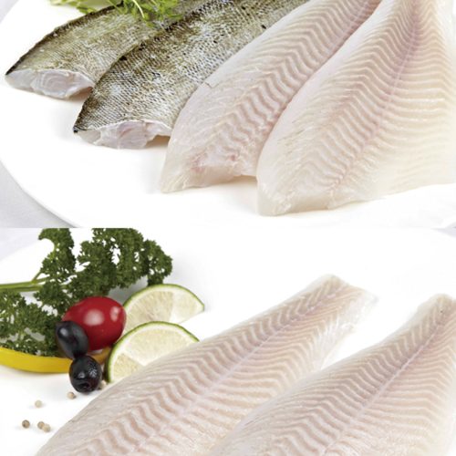 EU-Certified Seabass & Barramundi Fillets