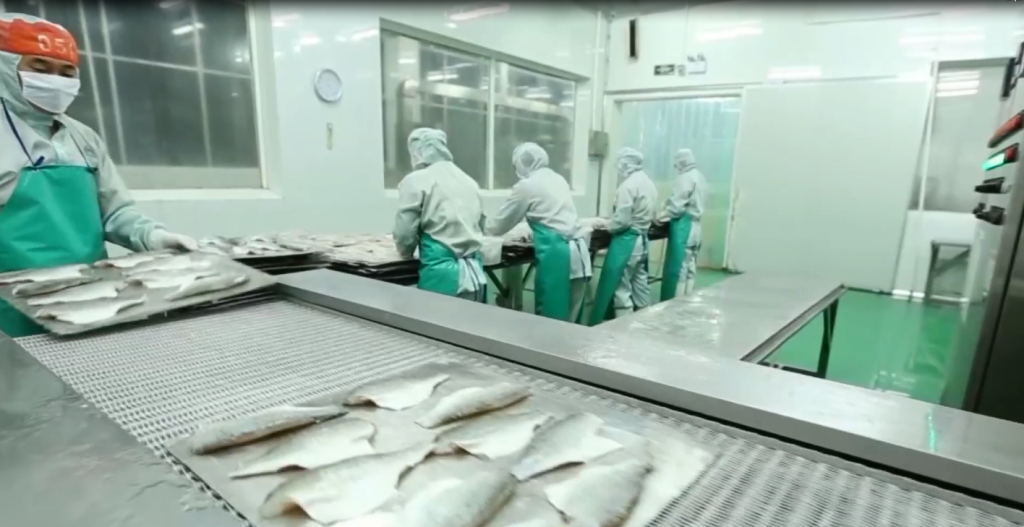 Zhuhai Chenghuifeng Agricultural Science and Technology Co., Ltd.