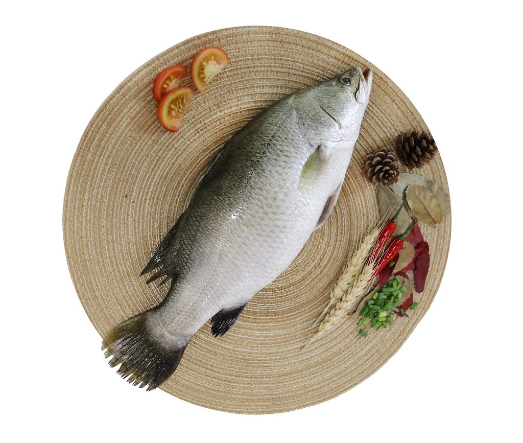 Zhuhai Chenghuifeng Agricultural Science and Technology Co., Ltd.
