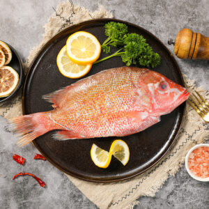 red snapper factory in China