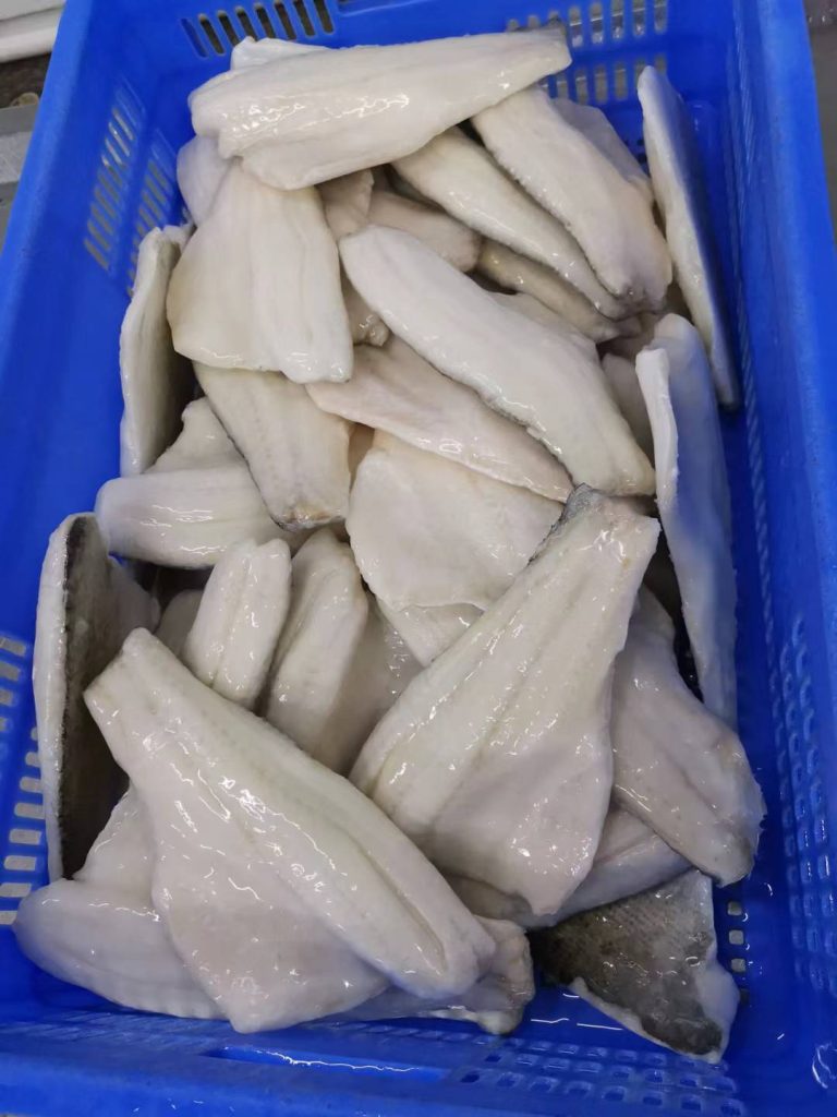 Zhuhai Chenghuifeng Agricultural Science and Technology Co., Ltd.