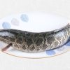 Fresh farm-raised Snakehead Fish – 生鱼 / 黑鱼片 / 乌鱼”