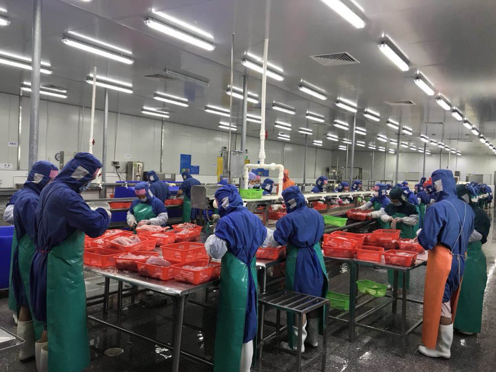 Zhuhai Chenghuifeng Agricultural Science and Technology Co., Ltd.