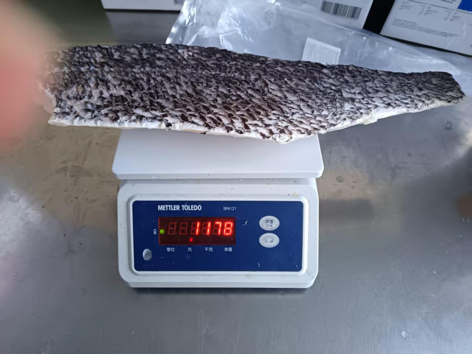 Shadow Croaker Frozen Brown Croaker – Premium Offshore Farmed Fish Supplier