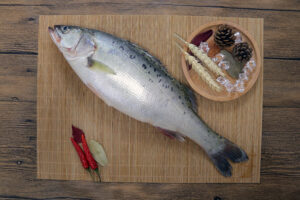 Asian seabass-Lateolabrax Japonicus-farm-raised