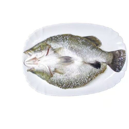 Mastering the Processing of Butterflied Fish: Workflow & Critical Control Points