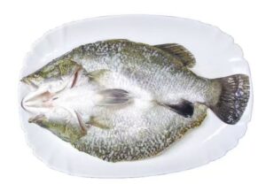 butterflied barramundi processing at CHF Seafood