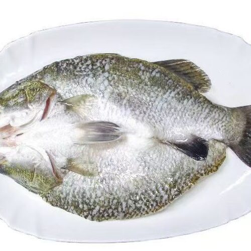 butterflied barramundi processing at CHF Seafood