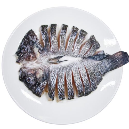 tilapia flowercut
