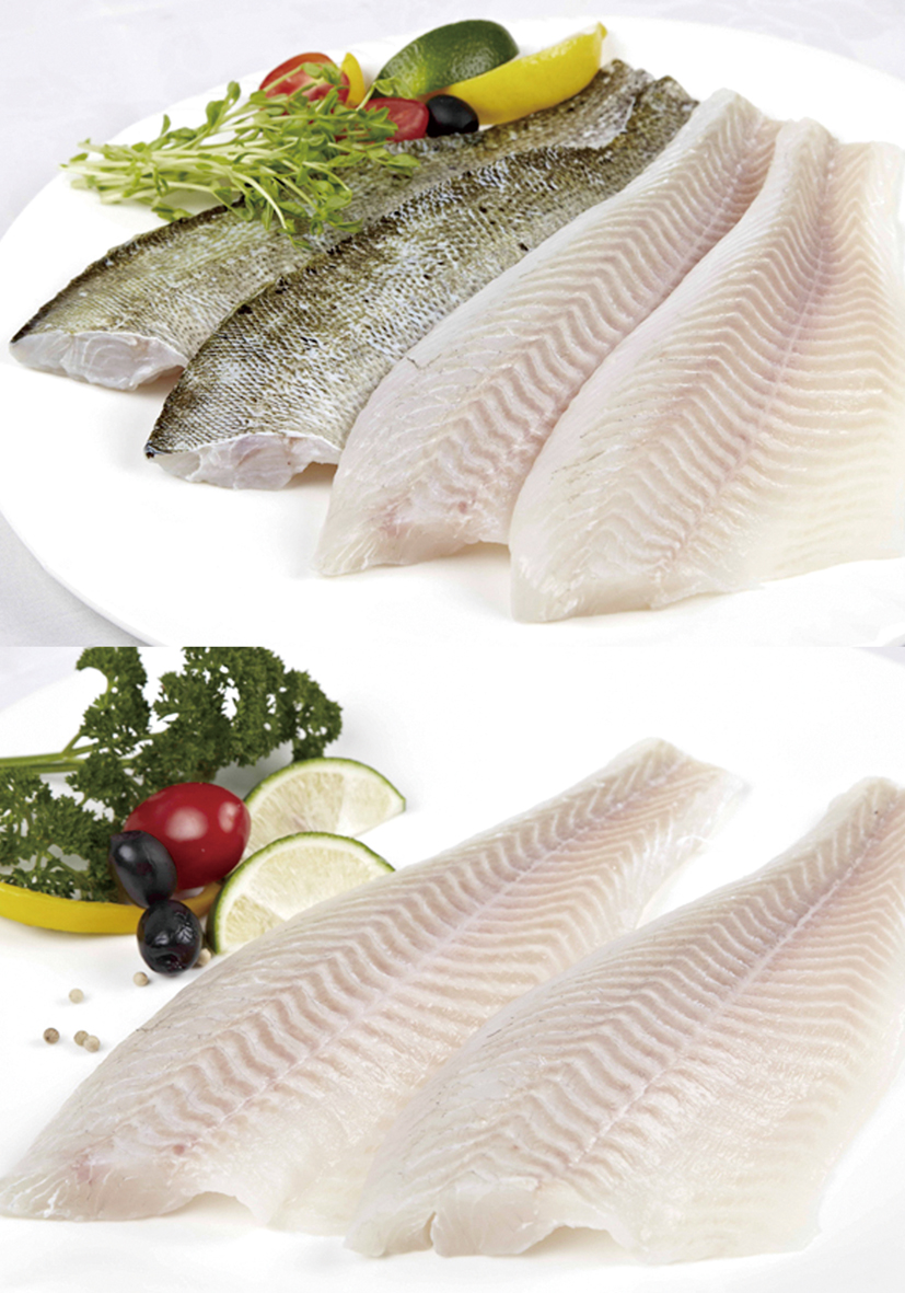 Freshly processed frozen Asian Seabass (Lateolabrax japonicus) fillets by Zhuhai Chenghuifeng Agricultural Science and Technology Co., Ltd., premium quality export product from China.