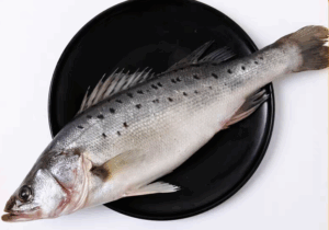 Asian Seabass (Lateolabrax japonicus) fillet – high-quality seafood for stable supply