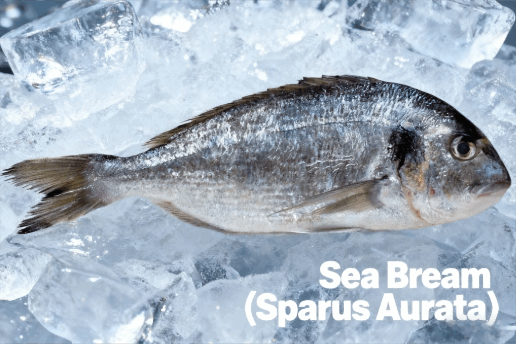 Whole Sea Bream (Sparus Aurata) ,frozen from CHF Seafood