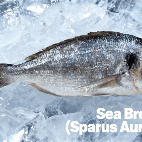 What is Sea Bream (Sparus aurata)?