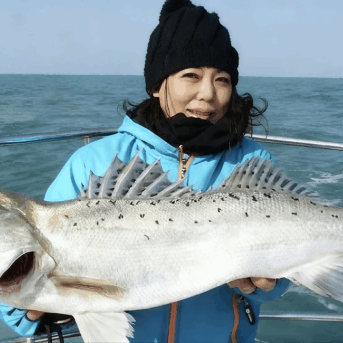 The Complete Guide to Chinese Seabass (Lateolabrax Japonicus): Farming, Industry, and Why Baijiao Zhuhai Leads the Global Market