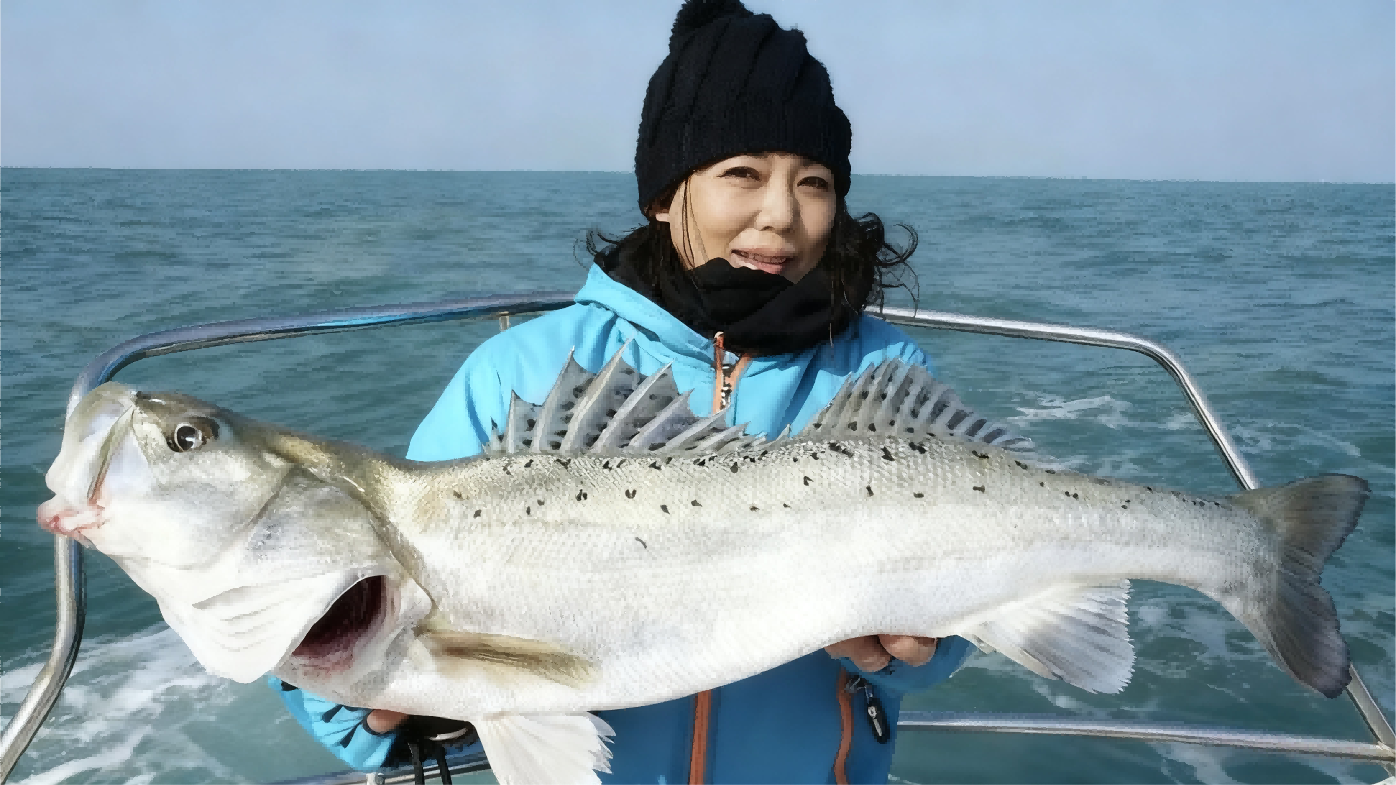 Fresh, high-quality whole sea bass for processing