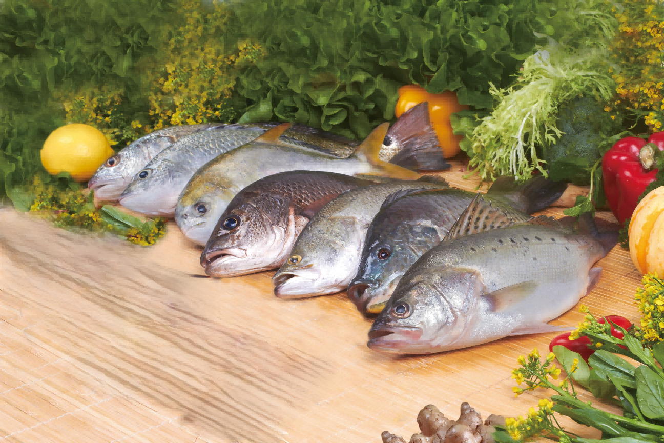 China Aquaculture Market Update