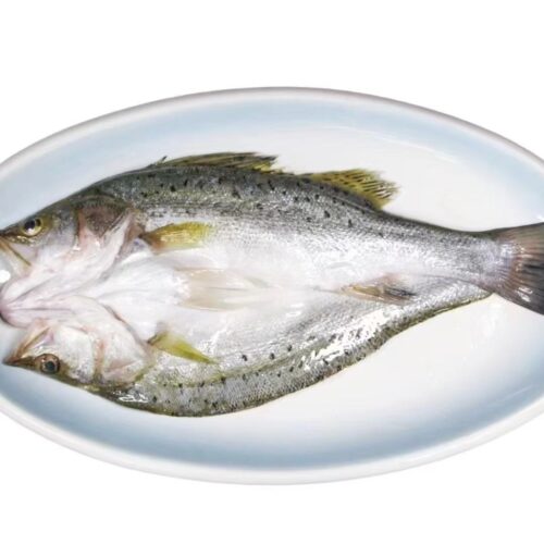 Spotted Sea Bass vs Other Sea Bass Species: Key Differences Explained