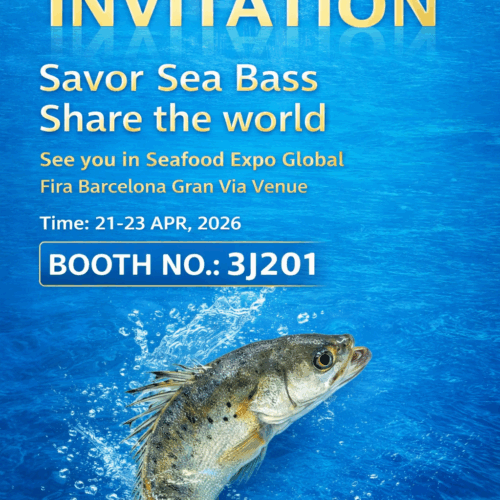 Seafood Expo Global 2026 Barcelona | Frozen Seabass & Barramundi Supplier – Booth 3J201
