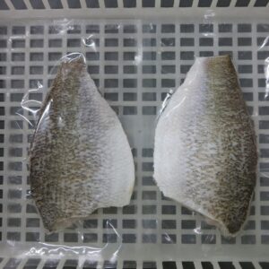 IQF frozen Barramundi fillet skin on boneless PBO