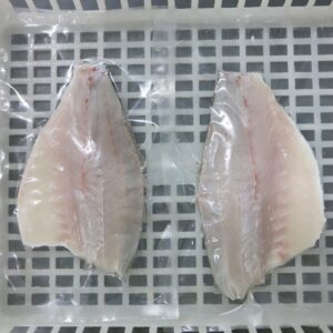 IQF frozen Barramundi fillet skin on boneless PBO