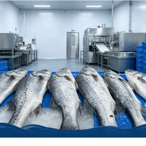 China Aquaculture Industry in 2026: From Farming to Global Seafood Supply